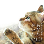 あなたに会いたい。